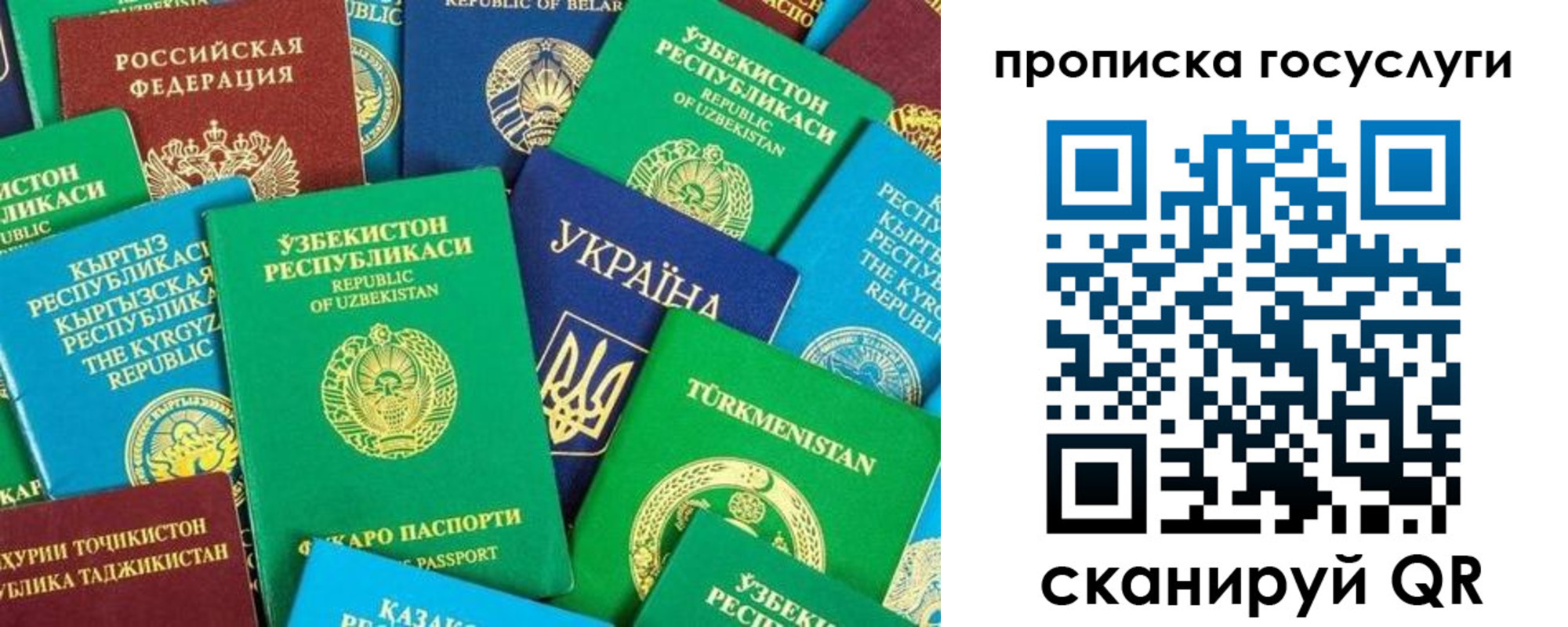 временная регистрация для всех в Лыткарино